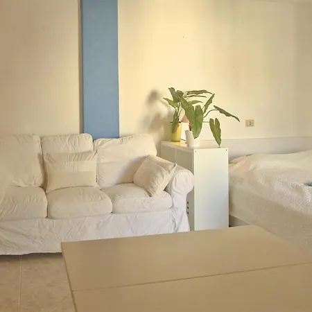 Paulis Friends Studio Central *